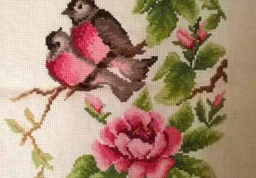 Райские птички