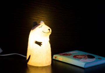 Светильник войлочный Рекс