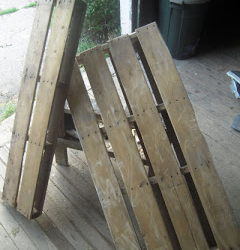 Роскошная кровать для собак из поддона.