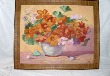 Солнечная настурция