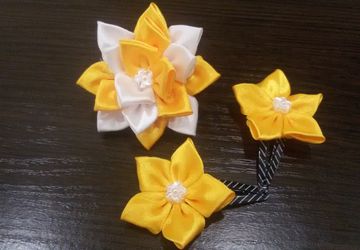 Солнечные заколки и резинка