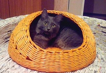 Домик для кошки