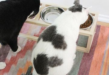 Подставка для кормления домашних животных своими руками.