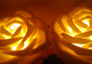 Цветы светильники розы