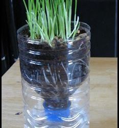 Контейнеры для рассады самоувлажняемые.