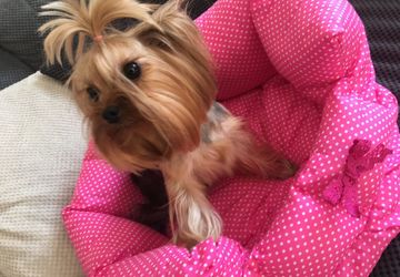 Лежанка-диванчик