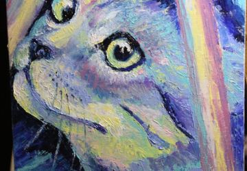 Любопытный кот