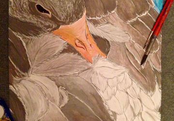 Продаю картины