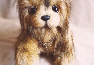 Йоркширский терьер Джесси и Дружок