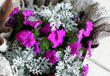 Необычные дачные вазы из цемента и полотенец