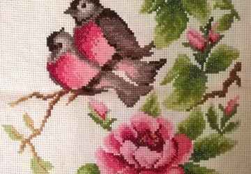 Райские птички