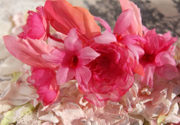 Браслет Вишневая Роза