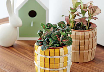 Необычное из обычного Прищепка!