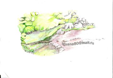 Ландшафтное проектирование и дизайн сада