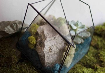 ФЛОРАРИУМ PEACEFUL WAY MEDIUM