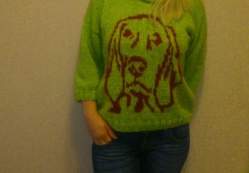 Пуловер с орнаментом " Грустная собака "