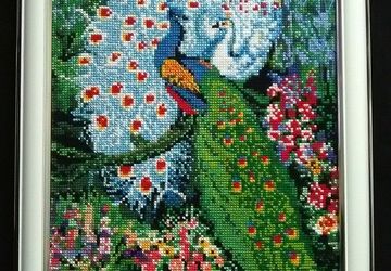 два павлина