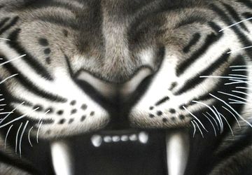 Картина в технике аэрография без рамы