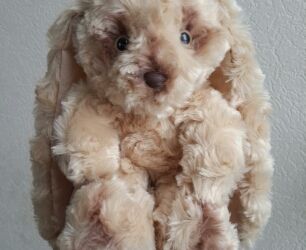 Плюшевый зайка