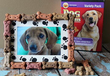 Рамка для фотографии для домашних животных.