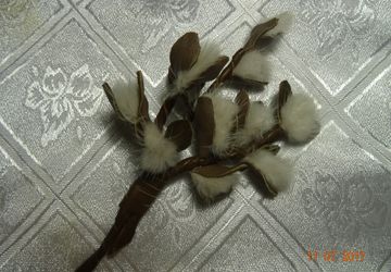 Брошь "Веточка вербы"