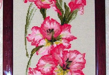 Гладиолусы