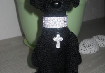 черный лабрадор