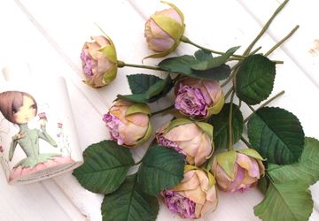 Розы "Леди Бомбастик"