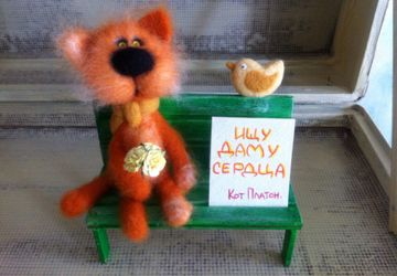 Питерский кот в поиске любимой