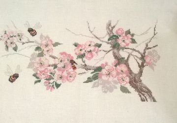 Цветущая яблоня