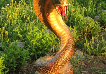 Резной столик "Кобра"