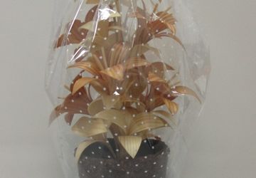 Цветы из дерева.