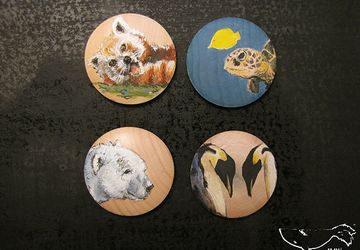 Малая панда, Черепаха, Белый мишка, Пингвины