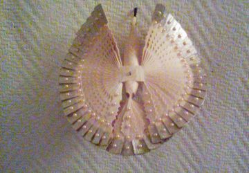 Птица с золотым оперением.