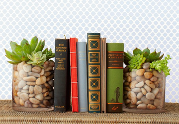 Сделай сам: Подставка для книг из суккулентов.