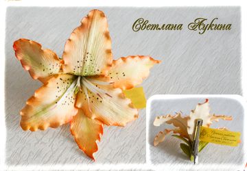 Зажим для волос