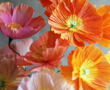 Как сделать бумажные цветы