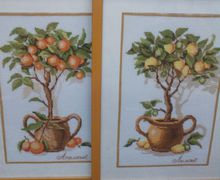 Фруктовый сад на вашей кухне