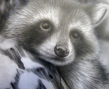 Картина в технике аэрография без рамы