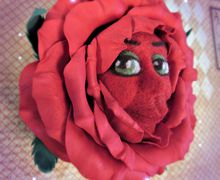 Тётушка Алая роза