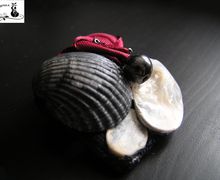 Брошь с перламутром и ракушкой
