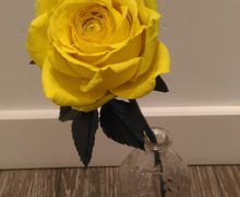 Роза на стебле из фоамирана