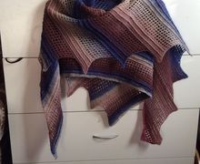 Первая шаль из серии "Ящерицы" получившая имя "Песочная саламандра"