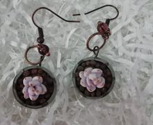 Серьги секуленты