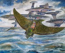 Камино. По мотивам Звёздных войн.