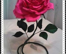 Маленький гигантик