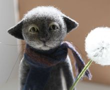 Кот с одуванчиком