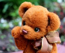 Тедди мишка Редди