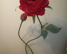 Ростовой пион