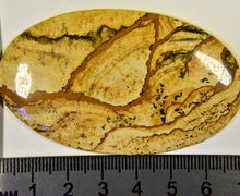 Яшма Пейзажная кабошон крупный.